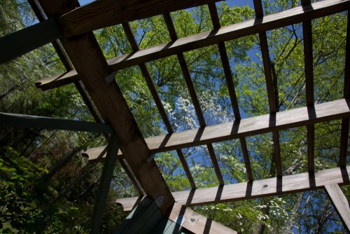 Texas Pergola with Trees,Sky,Looking,Through,Wooden,Latticework